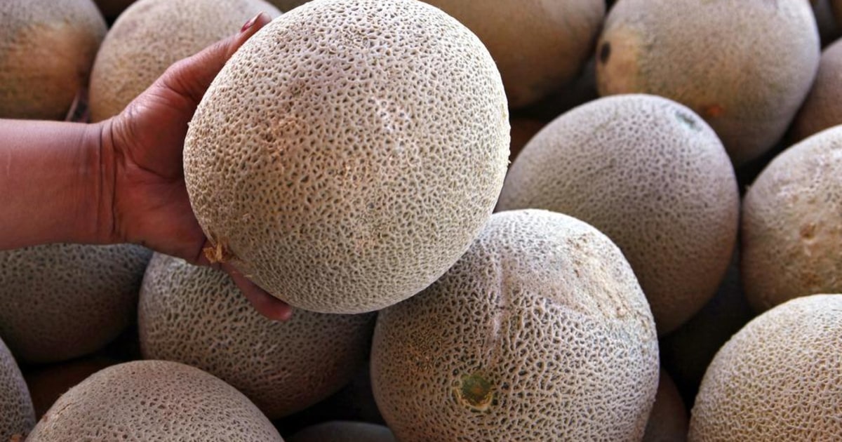 FDA Doubles Cantaloupe Recall as Salmonella Infections Skyrocket