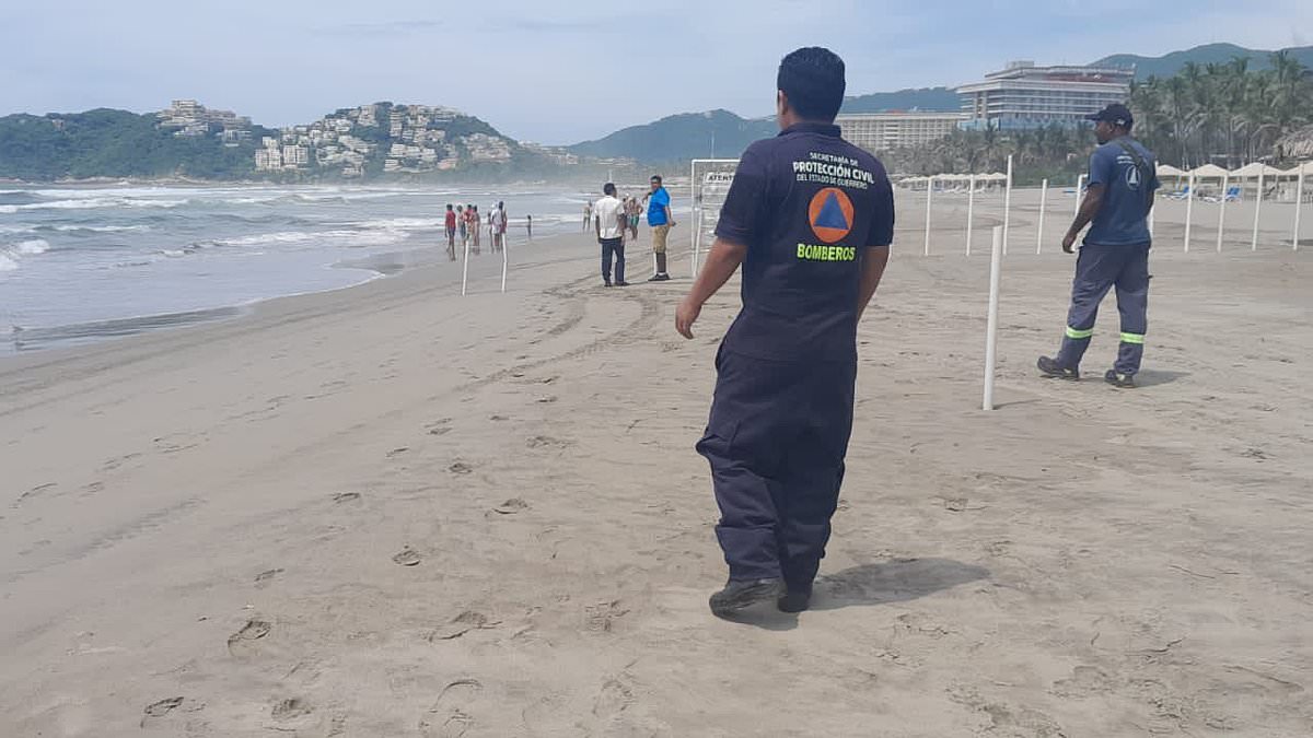 Featured image for Fatal Animal Attack at Mexican Resort Leaves One Dead and One Injured