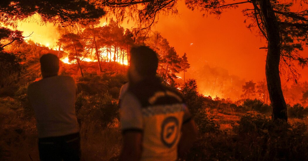Featured image for Wildfires Ravage Syria Amid Cross-Border Efforts and Climate Challenges