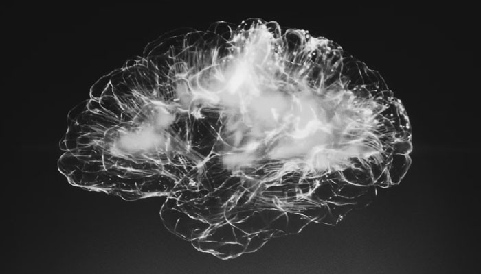 Featured image for The Immortality of the Human Brain.