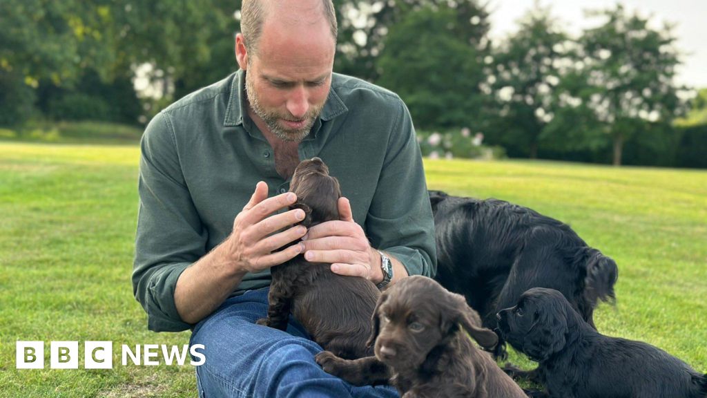 Featured image for Prince William Celebrates 43rd Birthday with Family and New Puppies