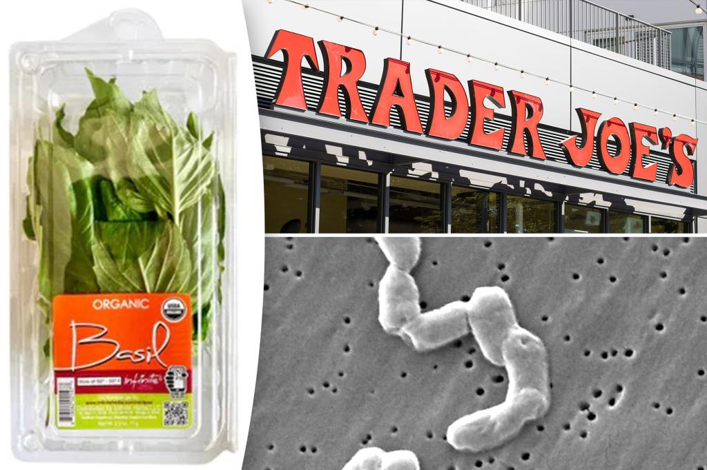 Featured image for "Trader Joe's Recalls Fresh Basil in 29 States Due to Salmonella Outbreak"