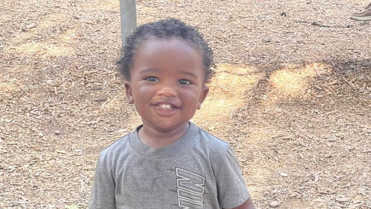 Featured image for Terrifying Doorbell Cam Footage Captures Texas Toddler's Harrowing Encounter with Aggressive Pit Bull