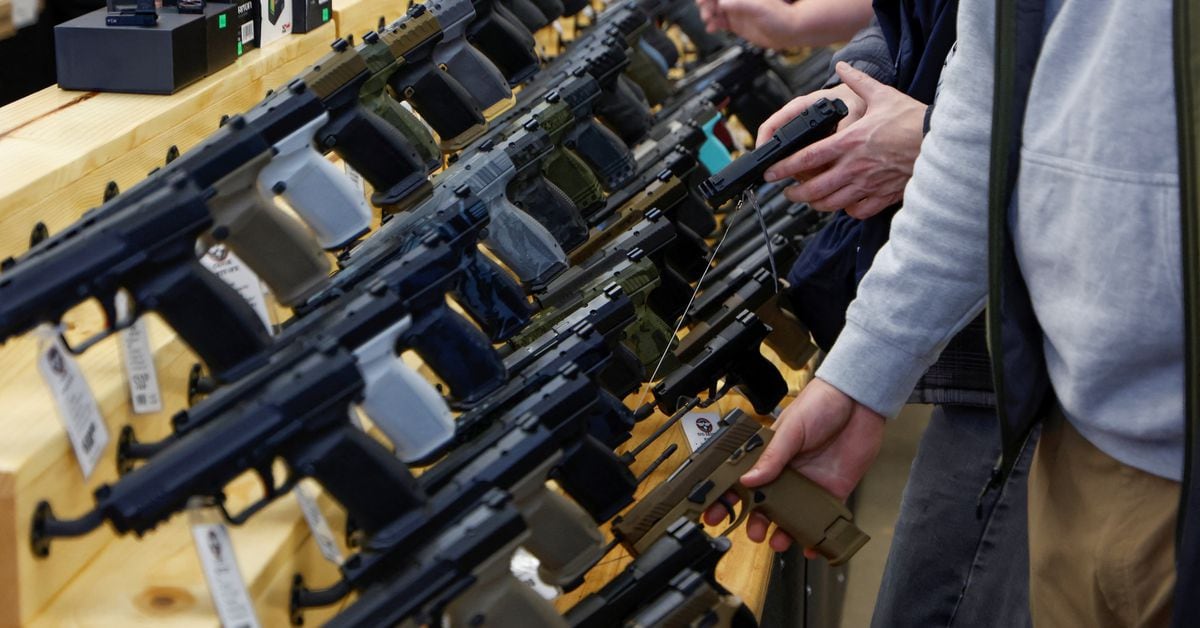 US Court Rules Drug Users Can Own Guns