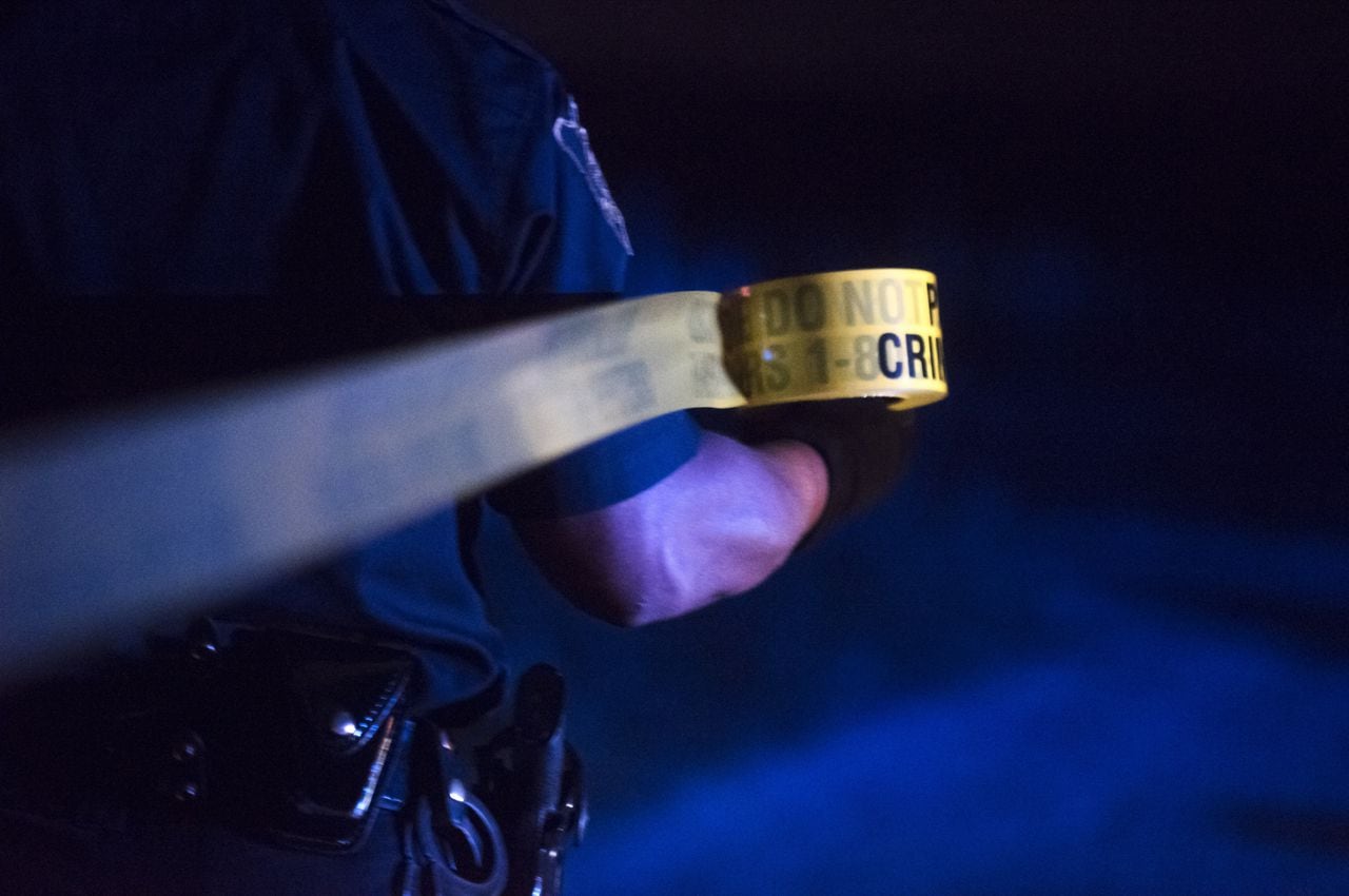 Featured image for Tragic Plane Crash Claims Indiana Couple and Their Dogs