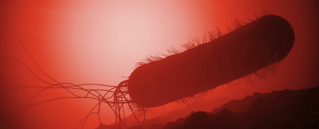 "Rising Antibiotic Resistance Threatens Future Treatments"
