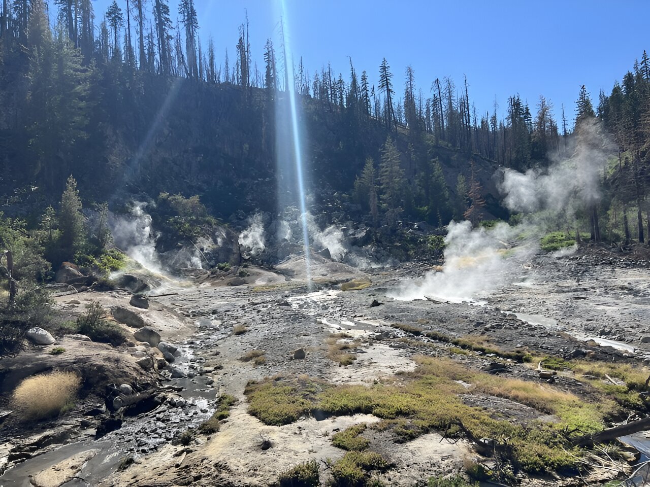 Featured image for Life's Extreme Heat Tolerance: Unveiling the Secrets at 50°C and 125°F