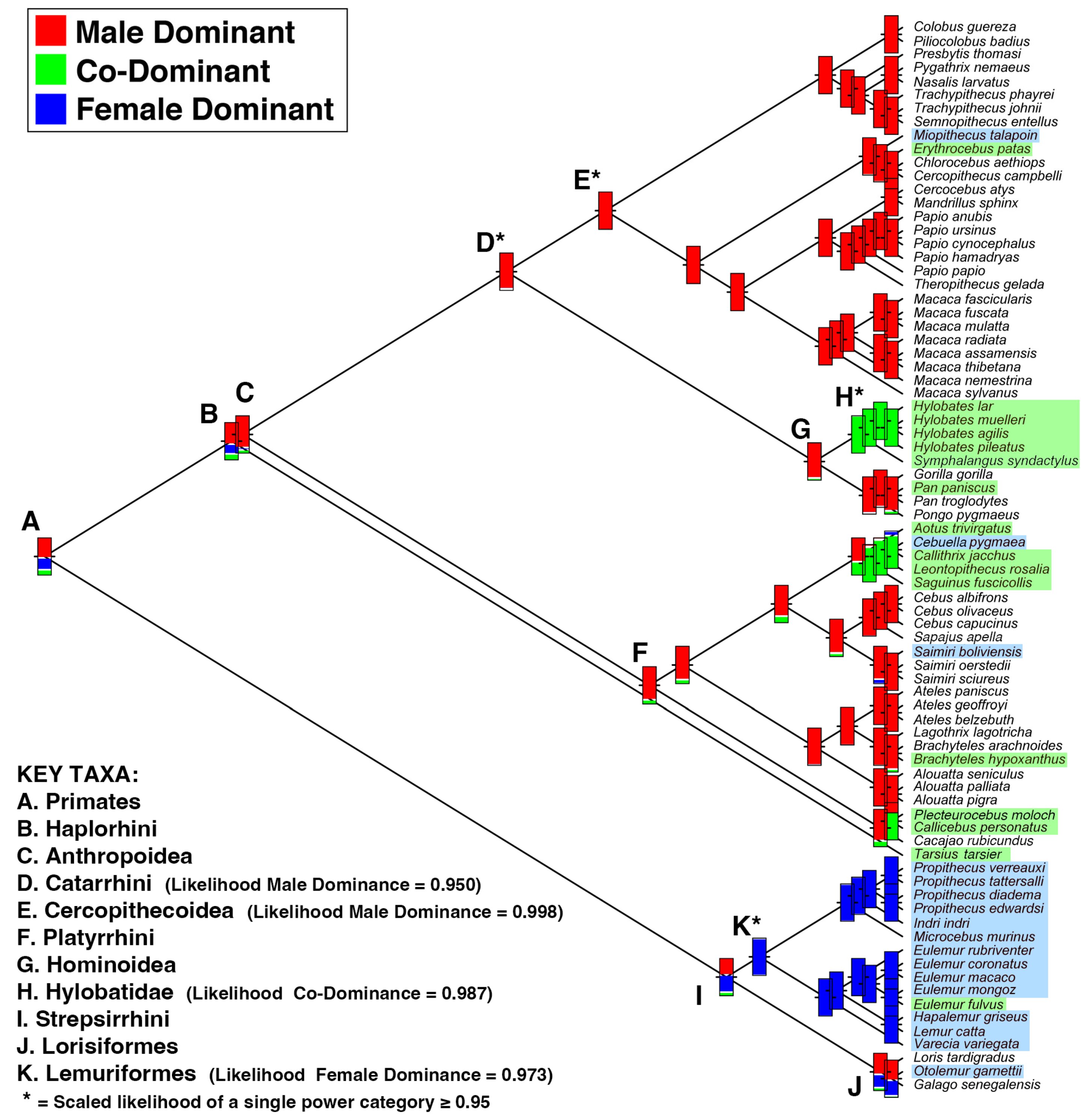 Featured image for "Reevaluating Primate Power Dynamics: Females Assert More Influence Than Previously Thought"
