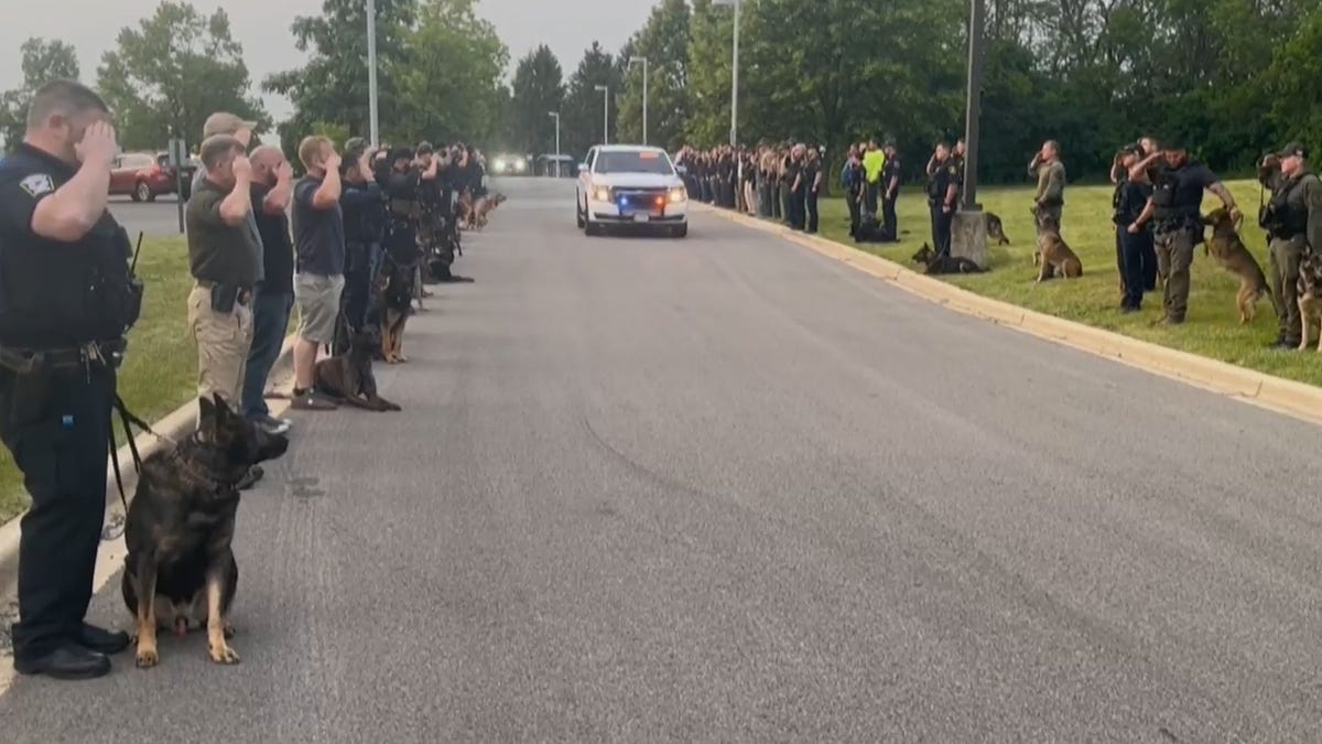 Deadly Police Pursuits and Shootouts in Illinois