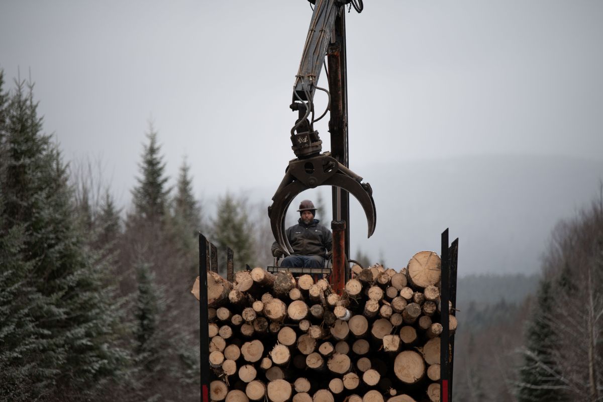 Tariffs Hit Maine's Economy and Export Industries