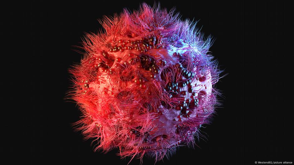 Featured image for German Researchers Discover Potent HIV Antibody