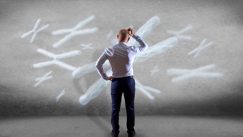 Featured image for "The Vanishing Y Chromosome: Implications for the Future of Men"