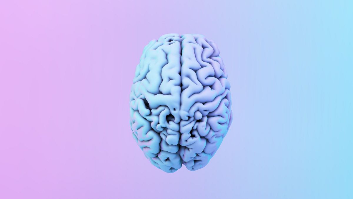 Featured image for "Rising Brain Sizes in Younger Generations Linked to Lower Dementia Risk"