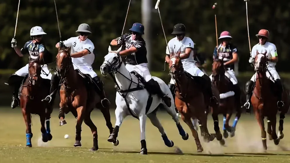Prince Harry and Meghan's Polo Docuseries Sparks Drama and Controversy