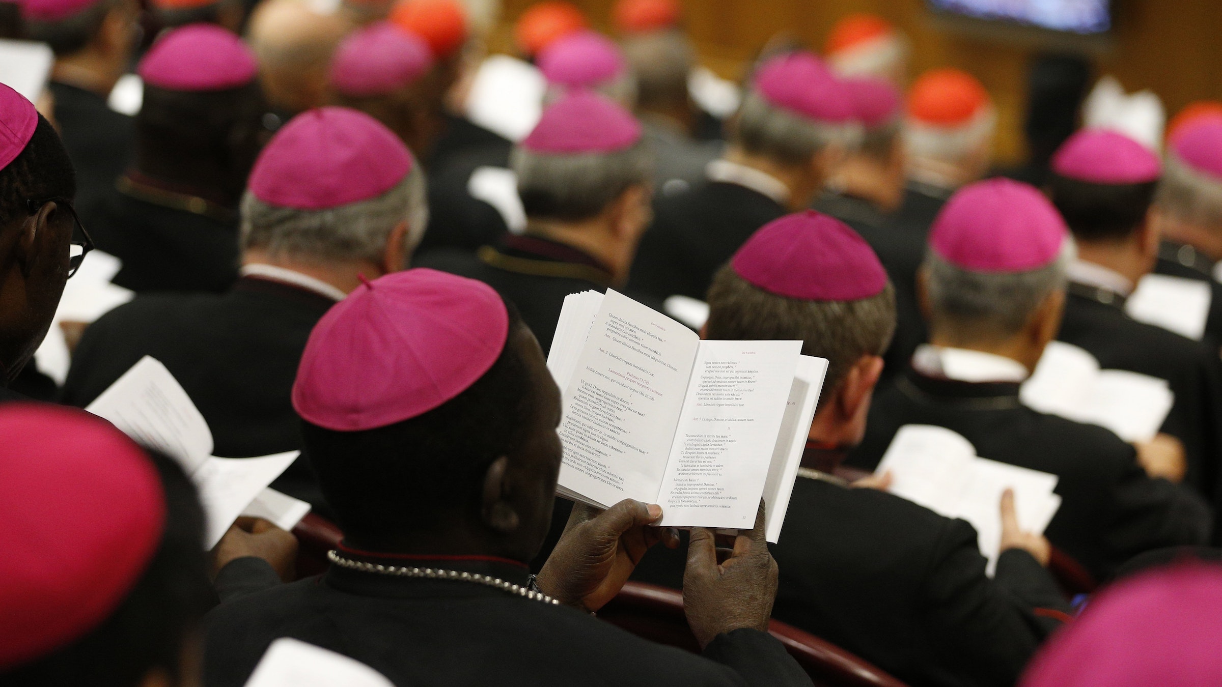 Featured image for "Papal Commission Urges Synod to Prioritize Safeguarding and Address Abuse"