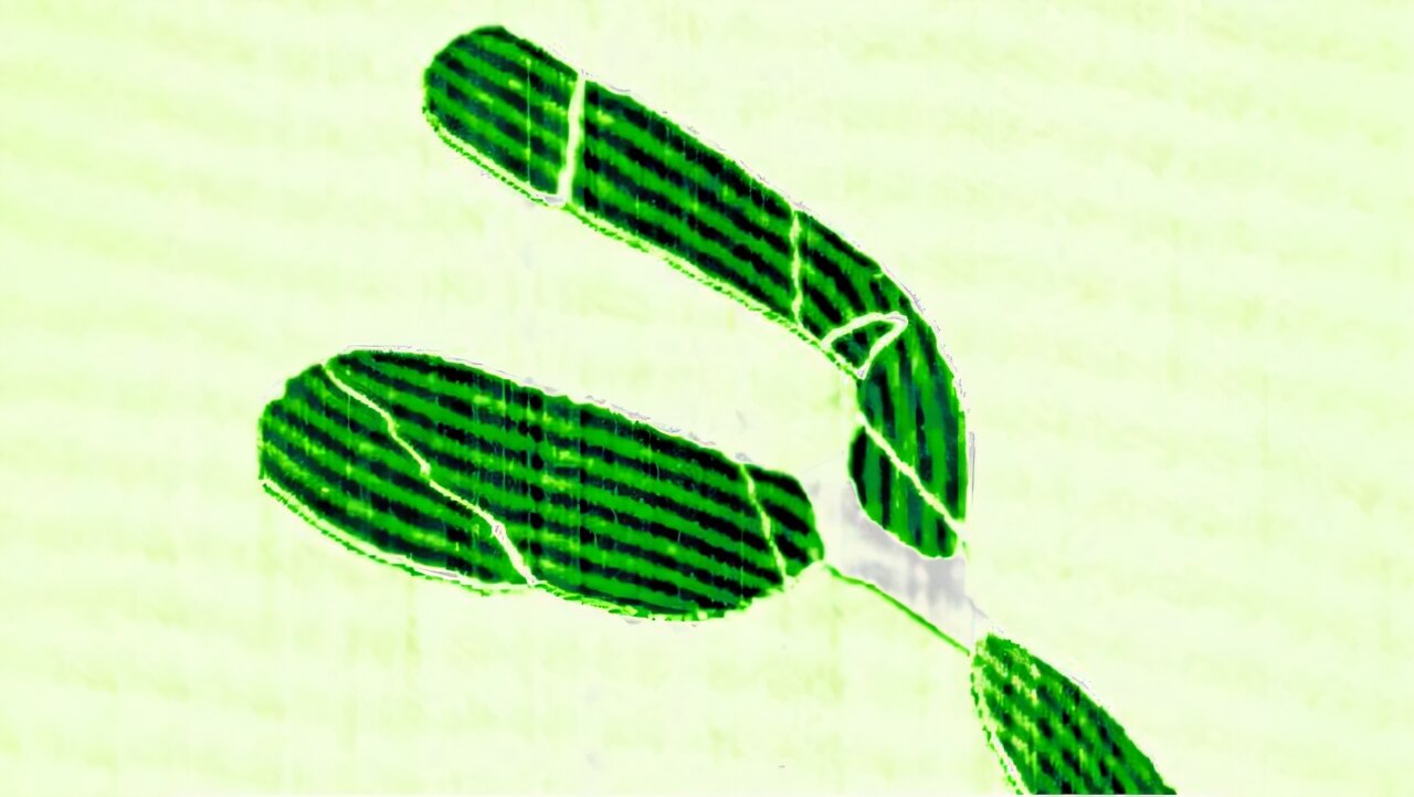 Featured image for Revolutionary Graphene Stacking Unlocks Quantum Potential