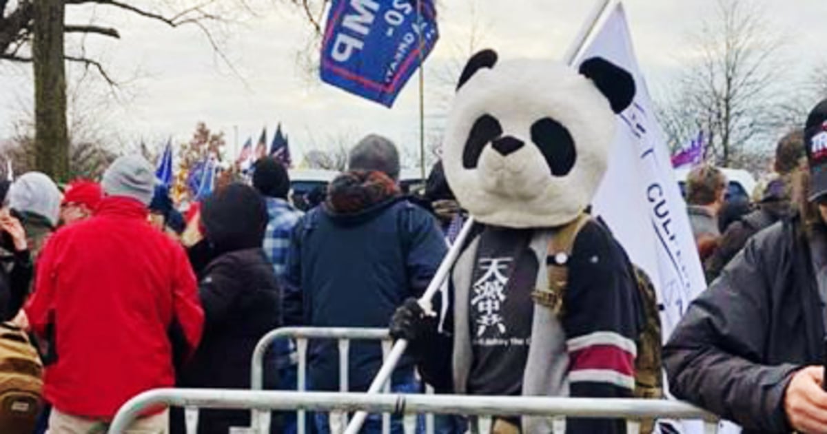 'Sedition Panda' Convicted for Assaulting Officer During Jan. 6 Riot