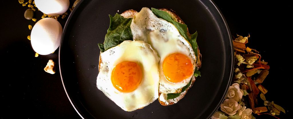 Featured image for Eating Eggs May Reduce Bad Cholesterol and Heart Disease Risk