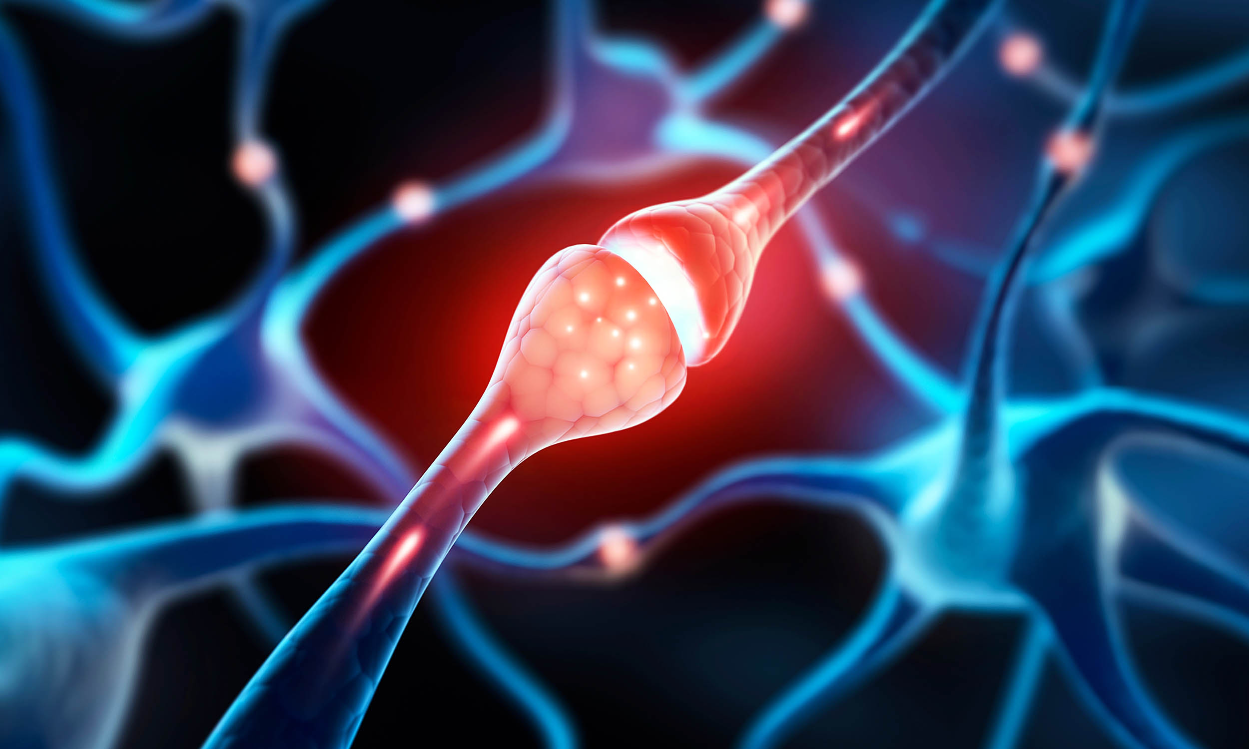 Featured image for Discovery Challenges Century-Old Brain Cell Theory