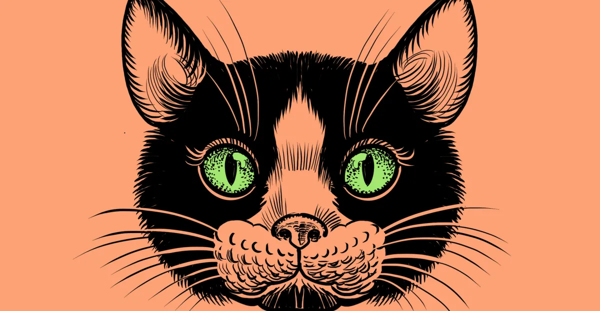 Featured image for Understanding the Rise of the Gen Z Stare