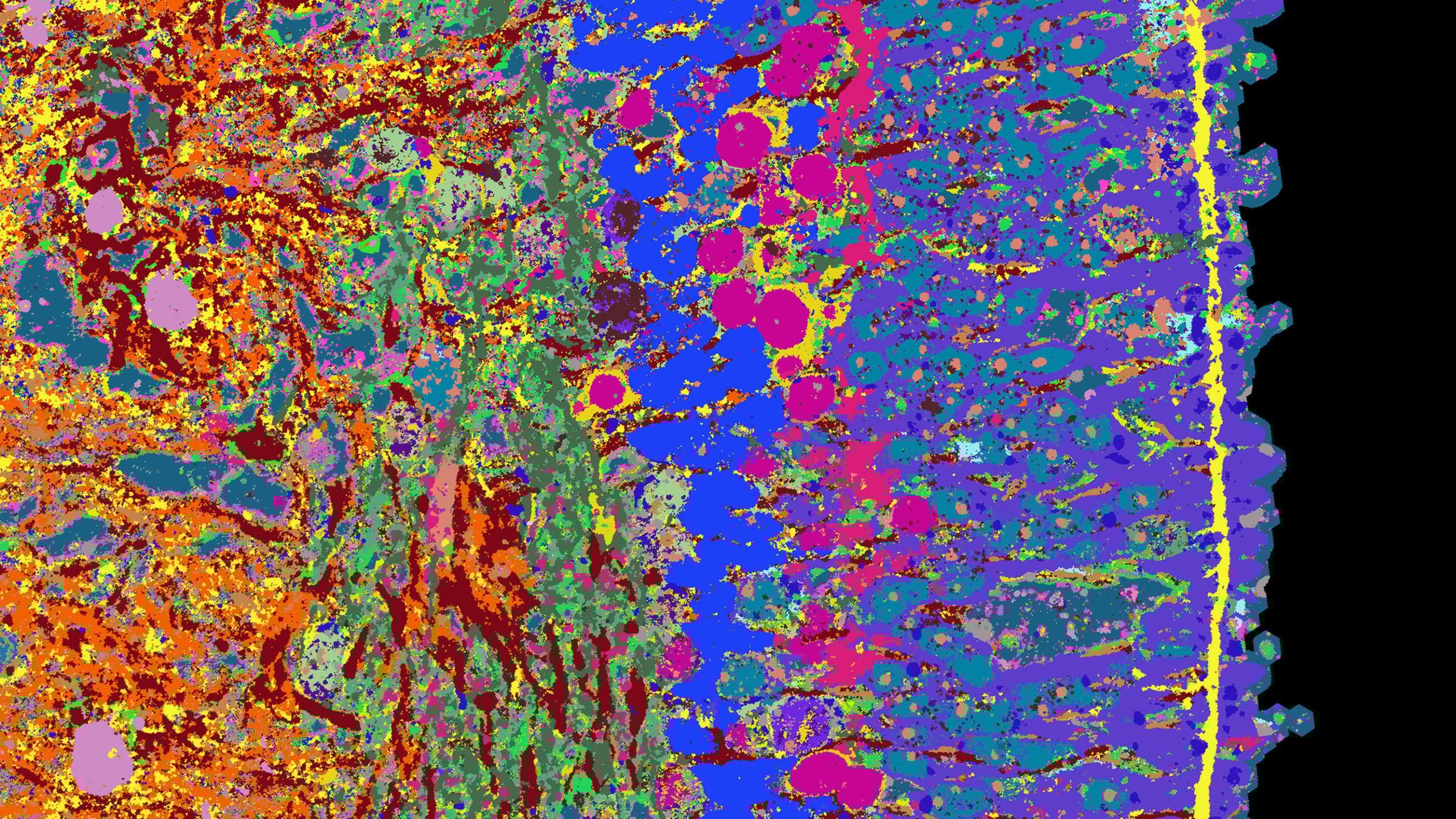 Featured image for Decoding the Human Tissue: An In-Depth Atlas