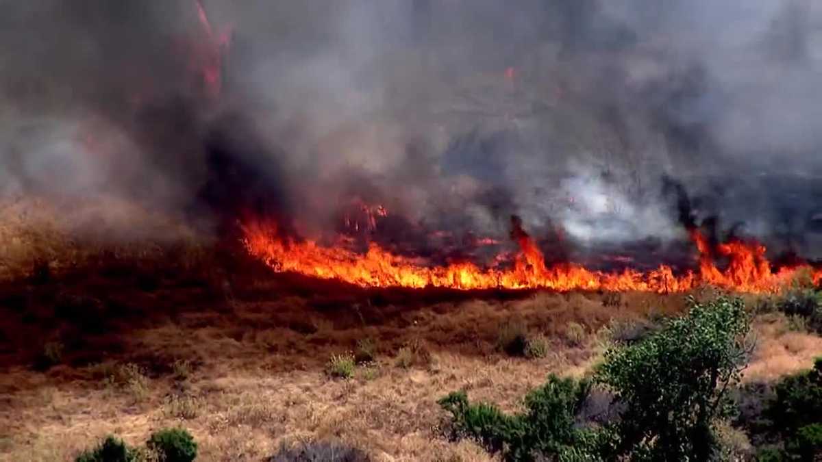 Featured image for Rattlesnake Hazards and Forward Progress Halted: Crews Battle Brush and Grass Fires in Rancho Cordova