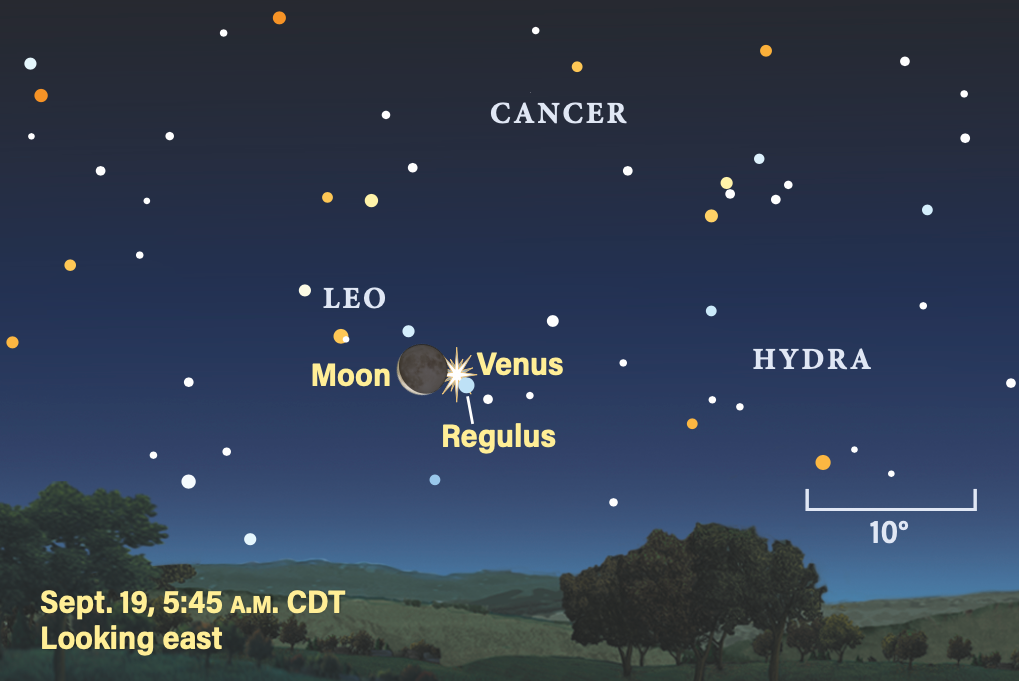 Featured image for Rare Triple Conjunction of Regulus, Venus, and the Moon This Week