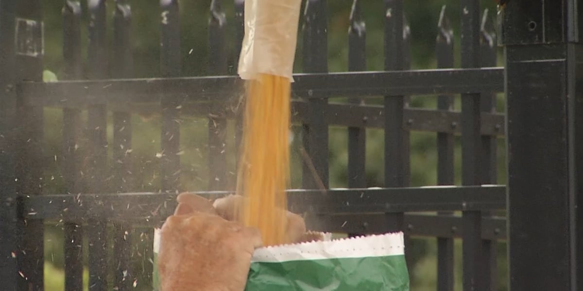 Featured image for "Revolutionizing Corn Sales: Southwest Missouri Welcomes First-Ever Corn Vending Machine"