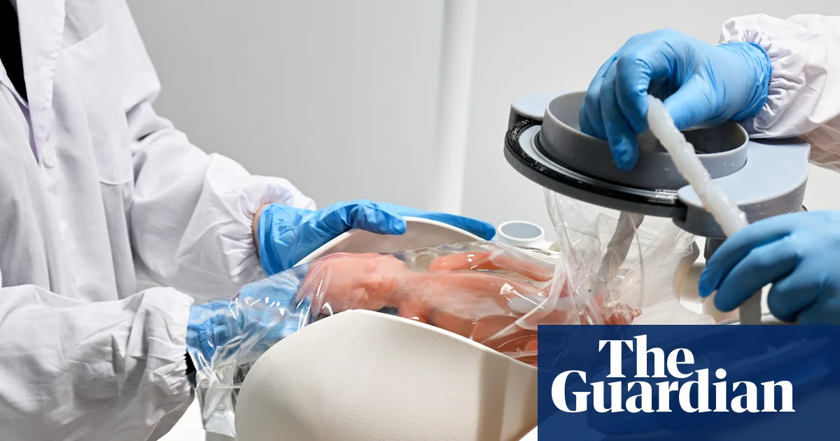 Featured image for Innovative Device Could Sustain Premature Babies Outside the Womb