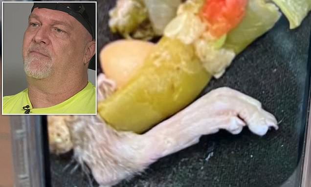"Multiple Lawsuits Filed Against Olive Garden After Customers Discover Rat's Foot in Soup"