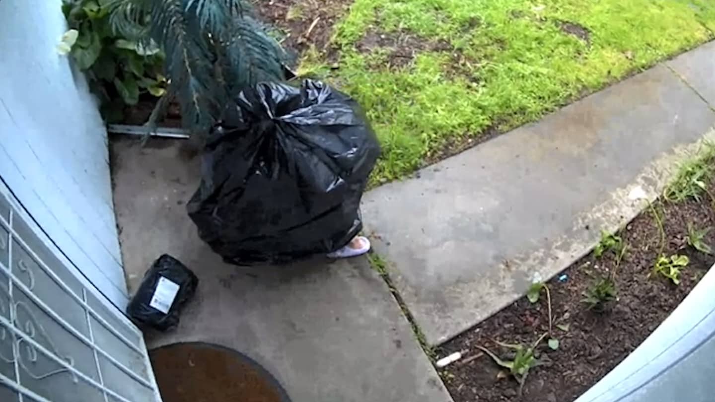 Featured image for "Garbage Bag-Clad Porch Pirate Caught Stealing Package on Video"
