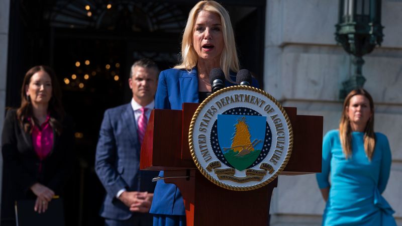 US Justice Department Concludes Epstein Had No Client List, Faces Scrutiny