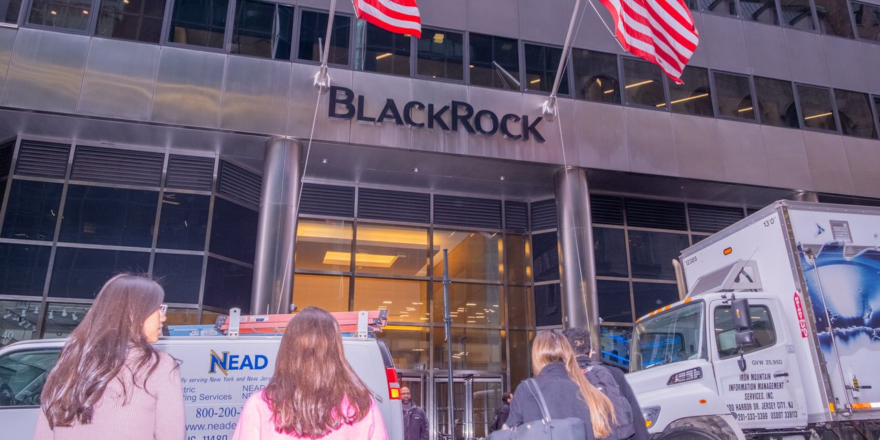 Featured image for BlackRock seeks transformational growth opportunities amidst profit decline and asset growth.