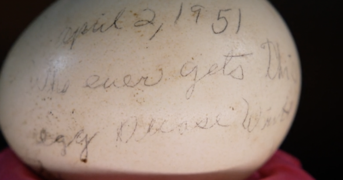 Social media users help man find writer of 72-year-old message on egg
