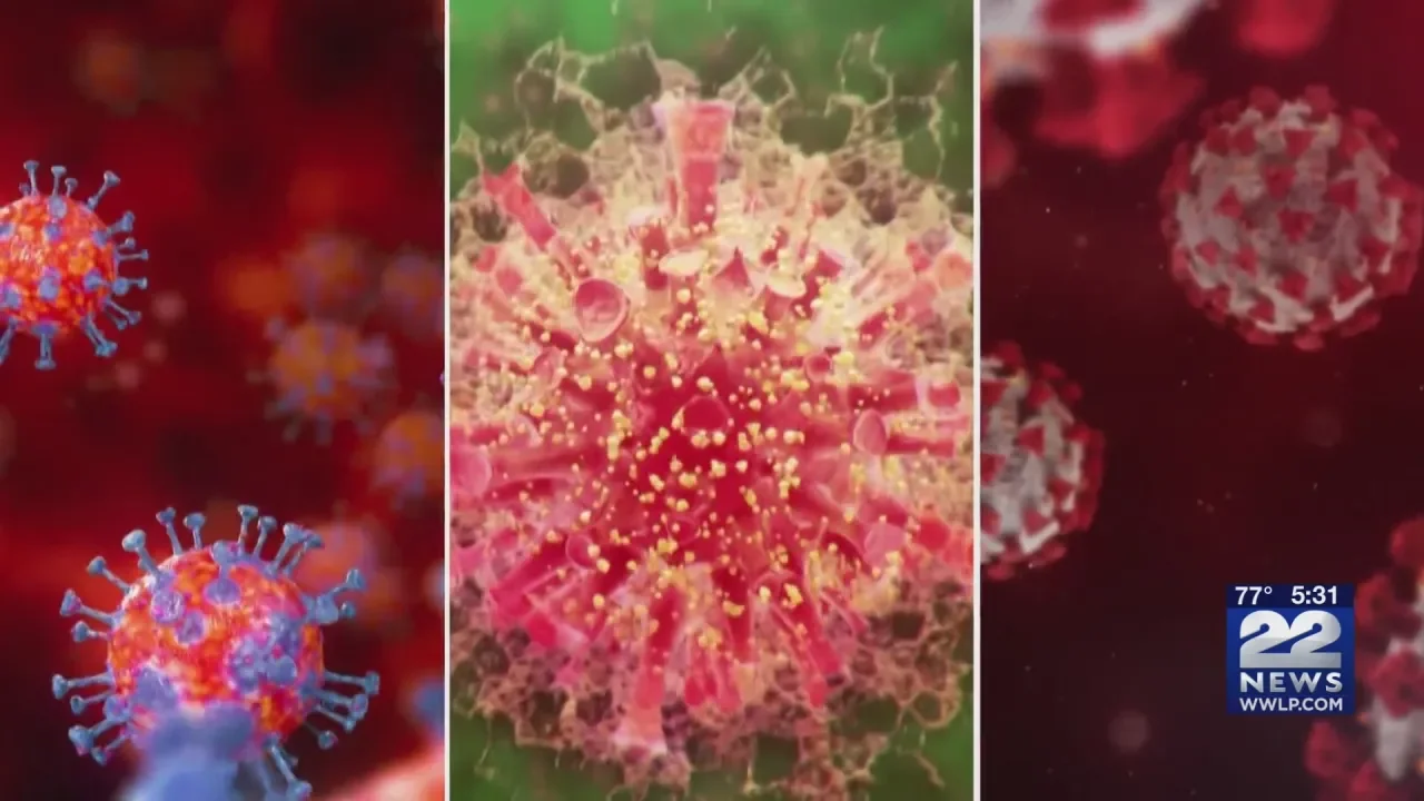 WHO Raises Global Concerns as New COVID Variant 'EG.5' Spreads Rapidly