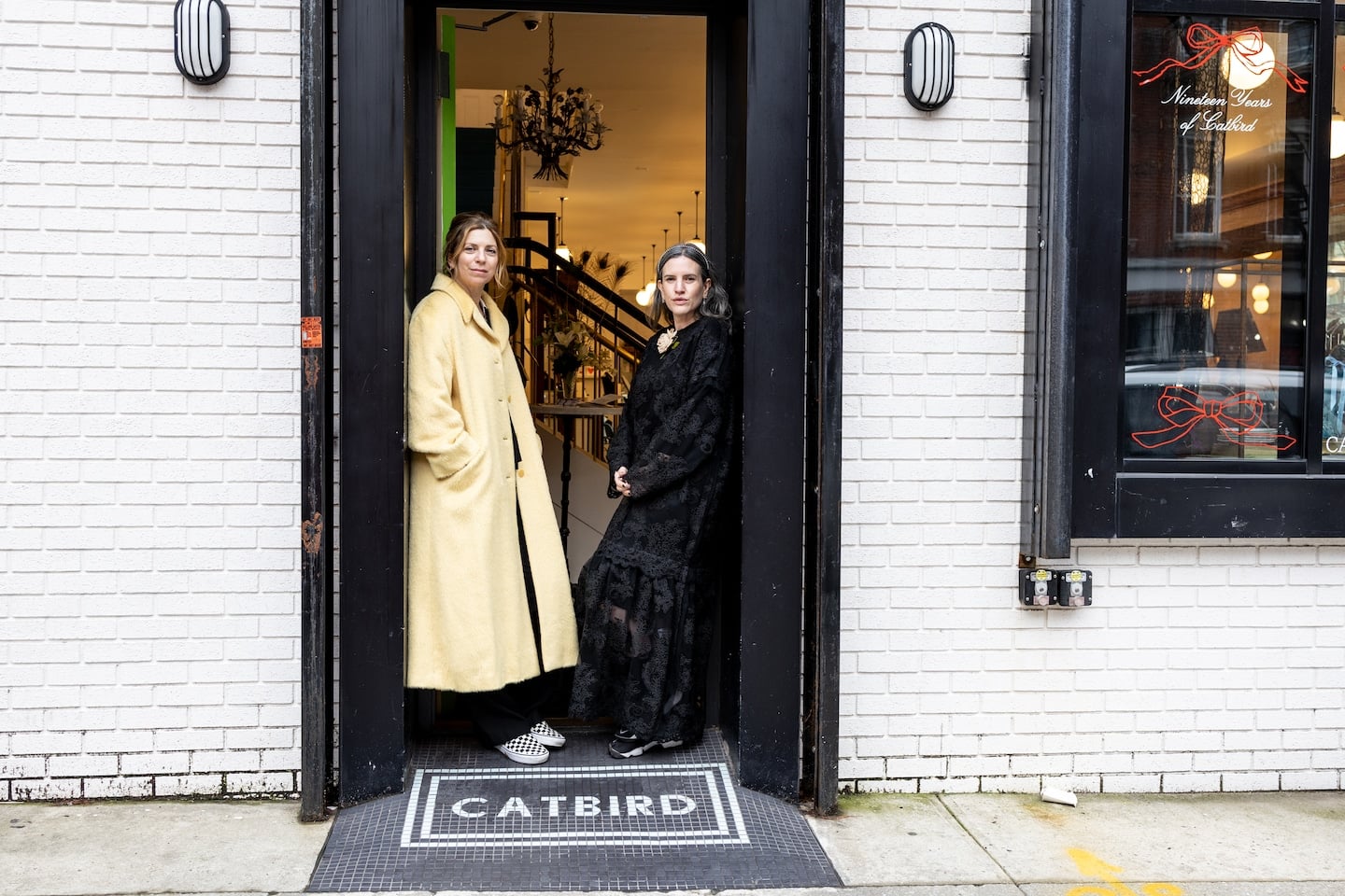 Featured image for "Feline Frenzy: Catbird Takes Flight in D.C."