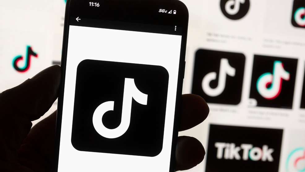 The TikTok Ban Debate: Local Businesses, Experts, and CEO Weigh In.