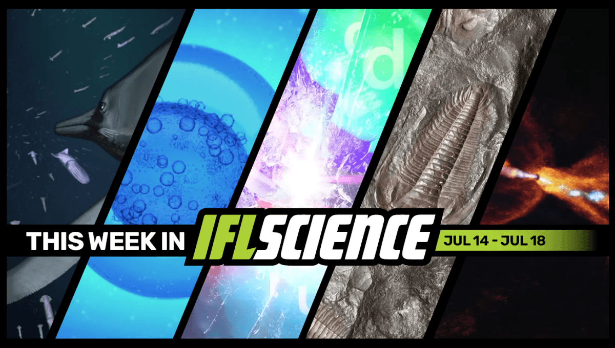 Featured image for Ancient Marine Reptile Fossil Unveils Stealthy Hunting Strategies and Soft Tissues