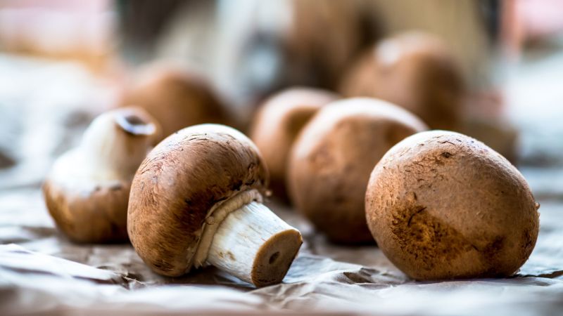 "Fatal Mushroom Poisoning Case Takes a Surprising Turn"