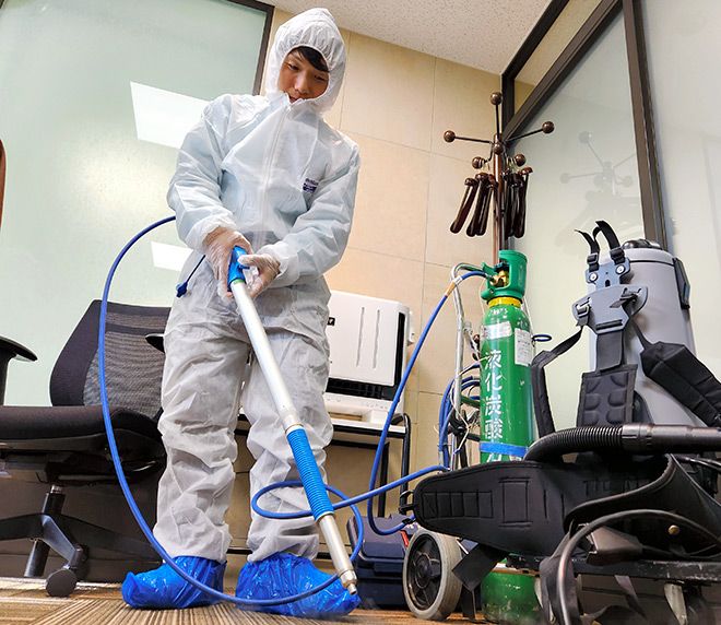 Featured image for "Japan Battles Dual Threat: Resilient Bedbugs and Flu Medicine Shortage"