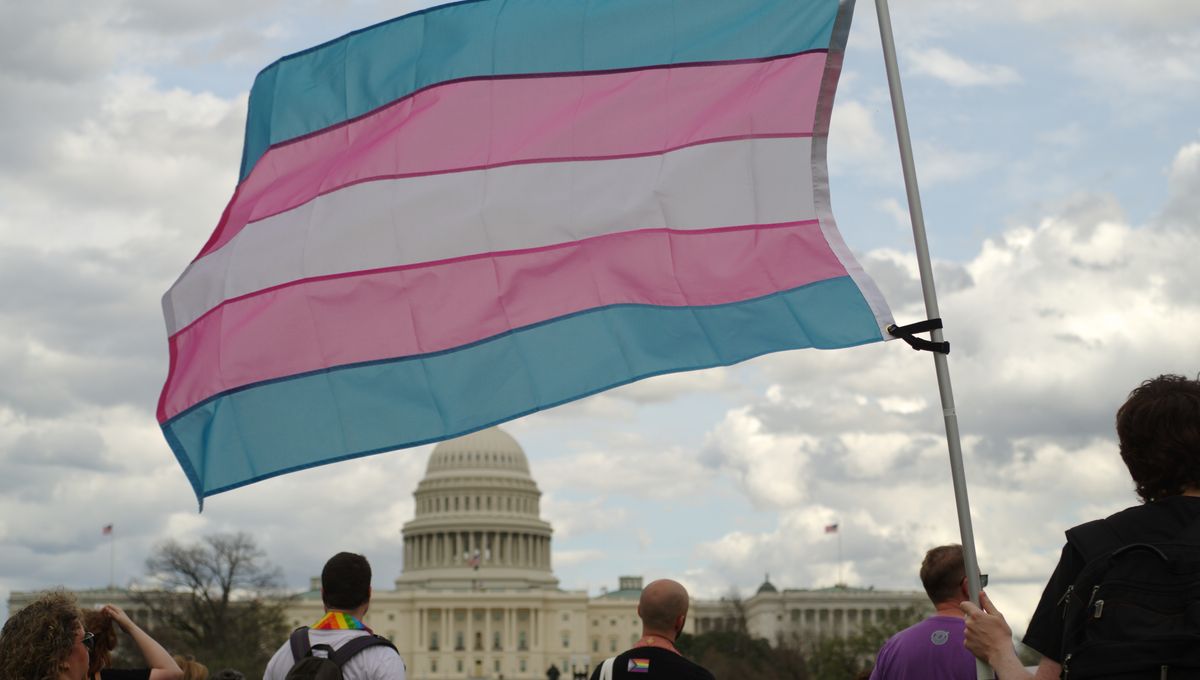 Featured image for Hormone Therapy Rewrites Proteins and Biomarkers in Transgender Women