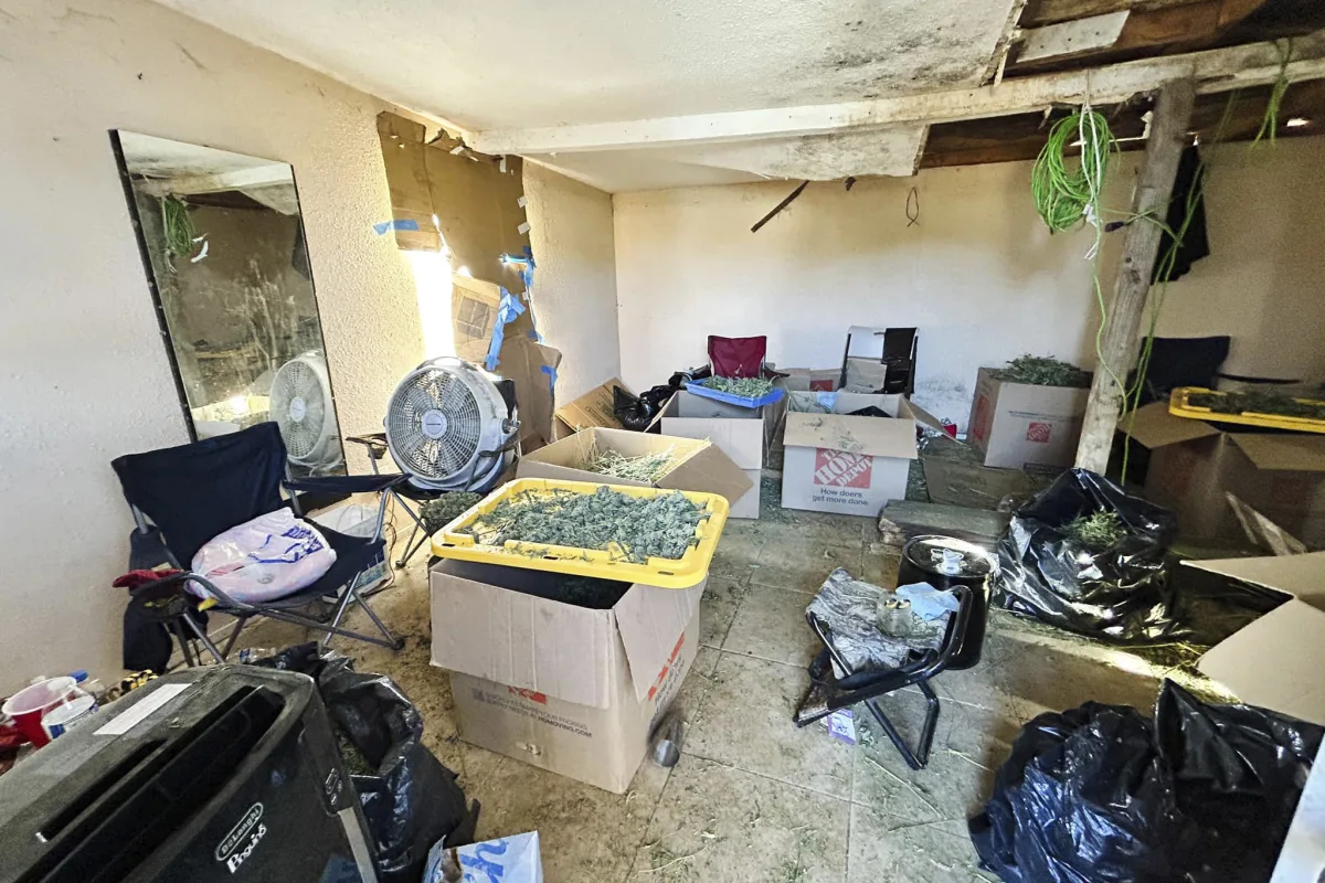 Illegal California Pot Plant Unveils Horrific Human Trafficking Operation