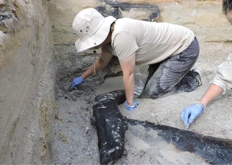 Featured image for Ancient Wooden Structure Unveils Prehistoric Carpentry Skills