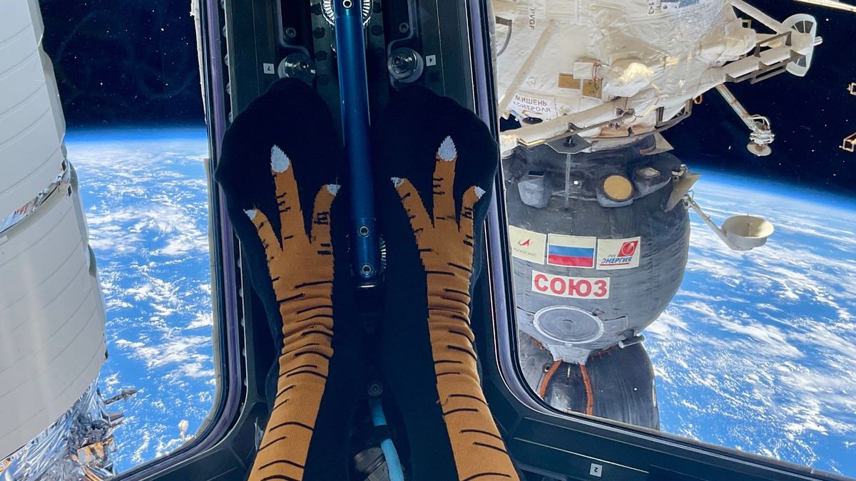 Thanksgiving in Space: Astronauts Celebrate with Turkey Socks and Spectacular Earth Views