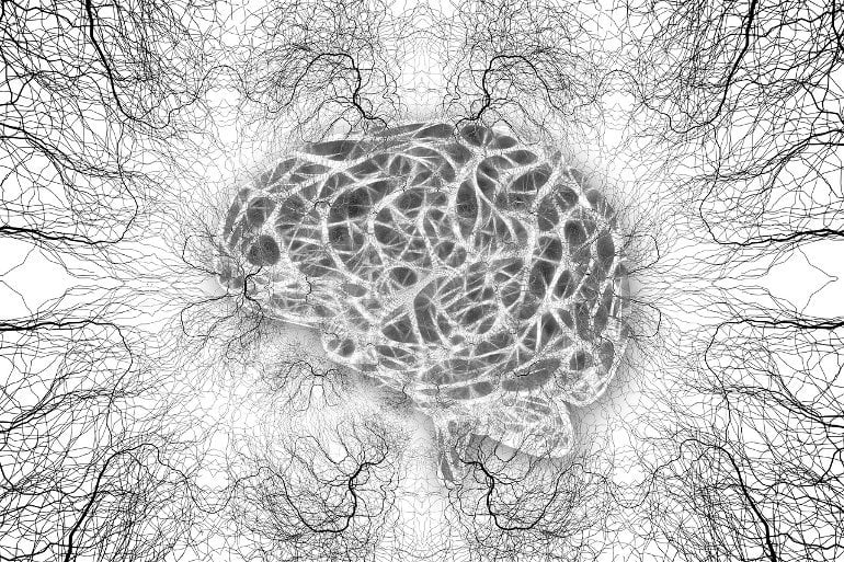 Telomere Shortening Linked to Alzheimer's in Brain Scans