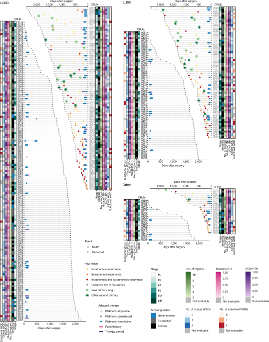 TRACERx reveals subclonal selection's impact on lung cancer evolution.