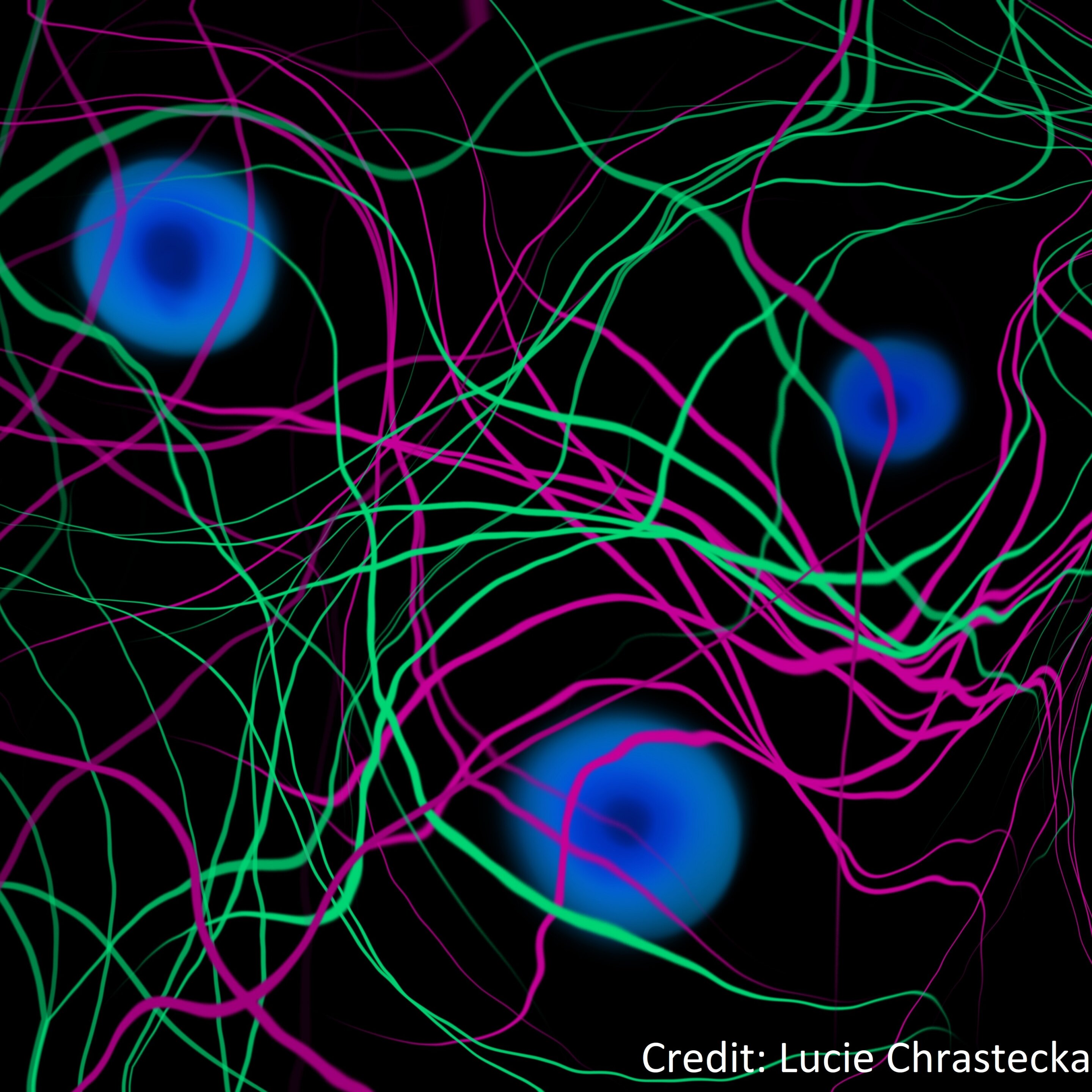 Featured image for "Probing Cosmic Origins: Dark Matter's Role in Unveiling Magnetic Fields"