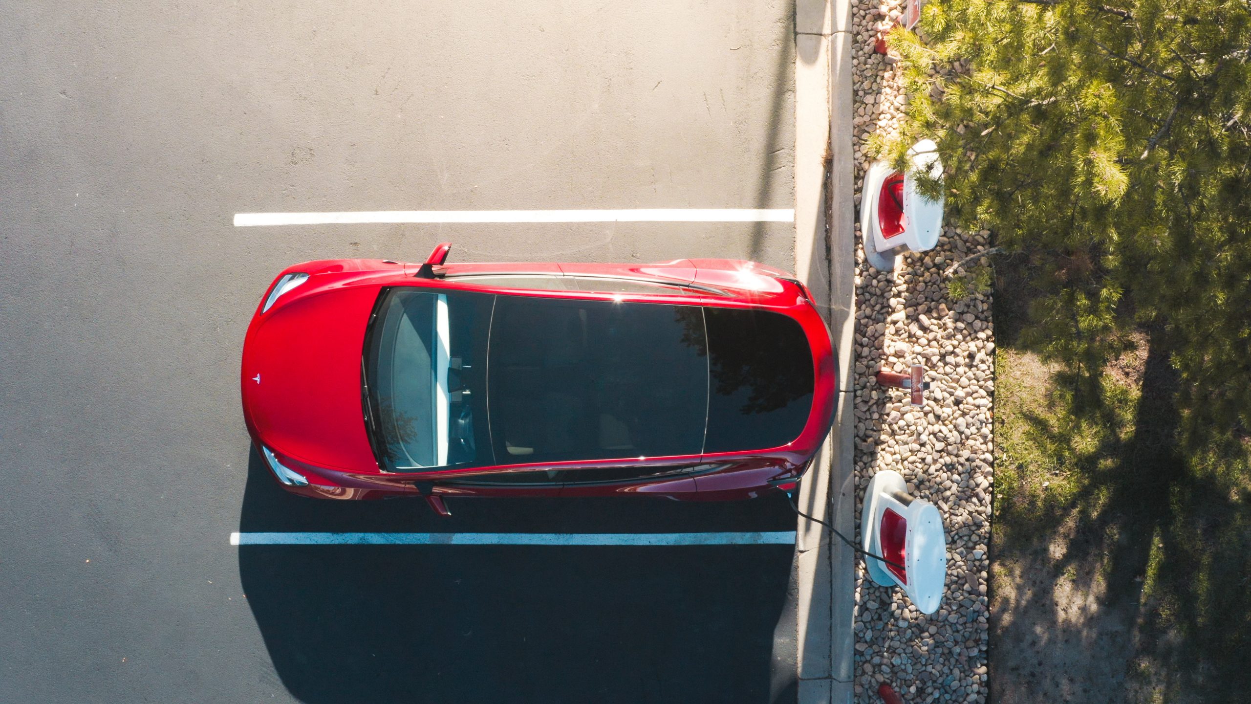 "Analysts Downgrade Tesla Stock Due to Concerns Over Musk's Influence on Innovation"