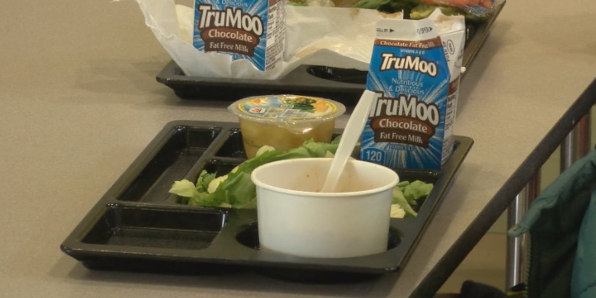 Featured image for Louisiana Governor Stands Firm Against Summer EBT Program