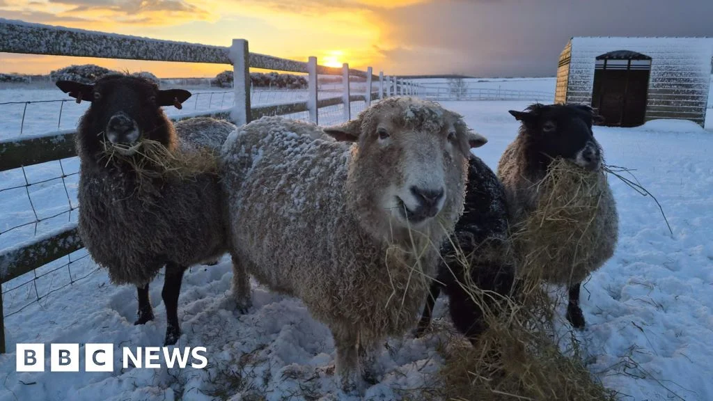 Featured image for Scotland in Photos: A Visual Journey Across the Country